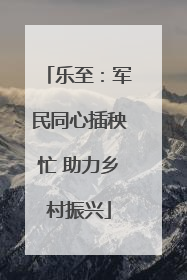 乐至：军民同心插秧忙 助力乡村振兴
