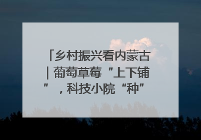 乡村振兴看内蒙古｜葡萄草莓“上下铺”，科技小院“种”出三倍效益