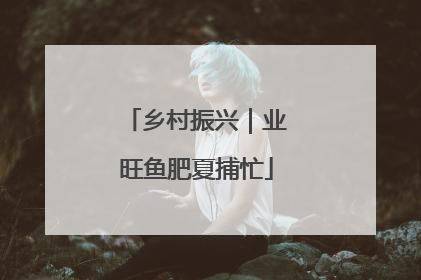 乡村振兴｜业旺鱼肥夏捕忙