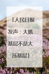 人民日报发声：大抓基层不是大压基层