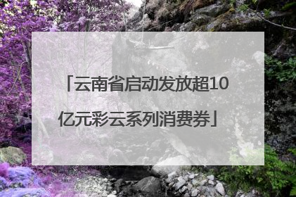 云南省启动发放超10亿元彩云系列消费券