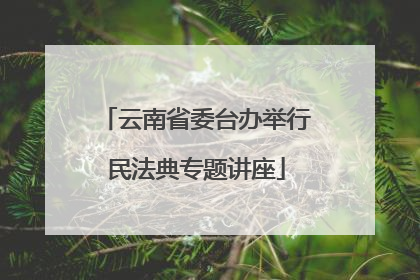 云南省委台办举行民法典专题讲座