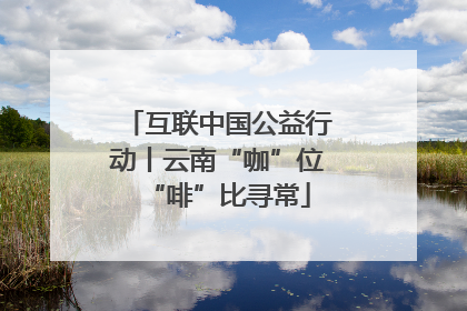 互联中国公益行动丨云南“咖”位“啡”比寻常
