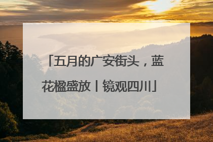 五月的广安街头，蓝花楹盛放丨镜观四川