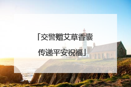 交警赠艾草香囊 传递平安祝福