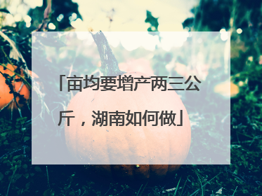 亩均要增产两三公斤，湖南如何做