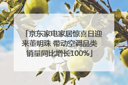 京东家电家居惊喜日迎来董明珠 带动空调品类销量同比增长100%
