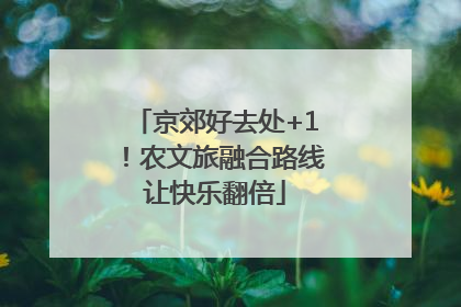 京郊好去处+1！农文旅融合路线让快乐翻倍