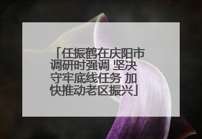 任振鹤在庆阳市调研时强调 坚决守牢底线任务 加快推动老区振兴