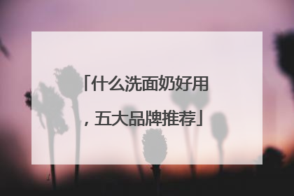 什么洗面奶好用，五大品牌推荐