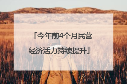 今年前4个月民营经济活力持续提升