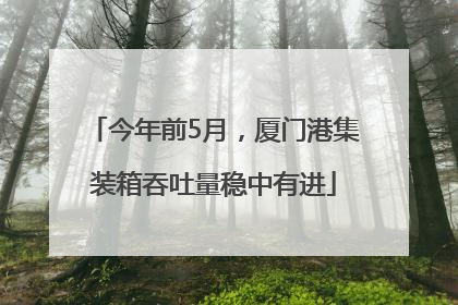 今年前5月，厦门港集装箱吞吐量稳中有进