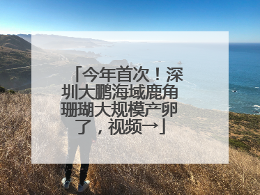 今年首次！深圳大鹏海域鹿角珊瑚大规模产卵了，视频→
