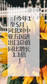 今年1至5月，河北对中亚五国进出口总值同比增长1.1倍