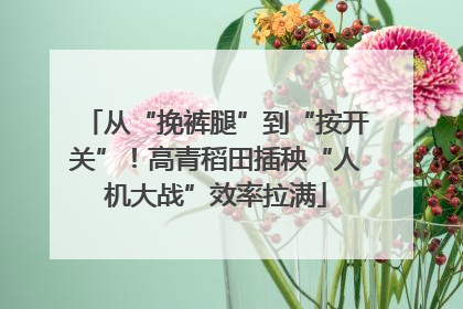 从“挽裤腿”到“按开关”！高青稻田插秧“人机大战”效率拉满