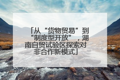 从“货物贸易”到“制度型开放”，湖南自贸试验区探索对非合作新模式