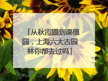 从秋霞圃到课植园，上海六大古园林你都去过吗