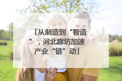 从制造到“智造”，河北廊坊加速产业“链”动