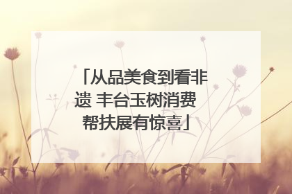从品美食到看非遗 丰台玉树消费帮扶展有惊喜