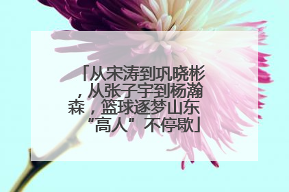 从宋涛到巩晓彬，从张子宇到杨瀚森，篮球逐梦山东“高人”不停歇