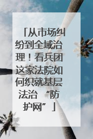 从市场纠纷到全域治理！看兵团这家法院如何织就基层法治 “防护网”