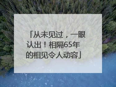 从未见过，一眼认出！相隔65年的相见令人动容
