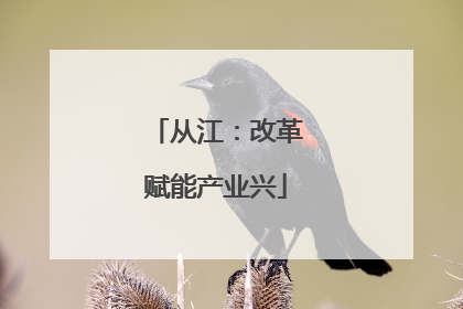 从江：改革赋能产业兴
