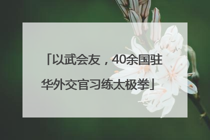 以武会友，40余国驻华外交官习练太极拳