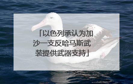 以色列承认为加沙一支反哈马斯武装提供武器支持