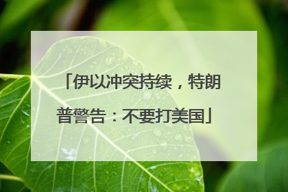伊以冲突持续，特朗普警告：不要打美国