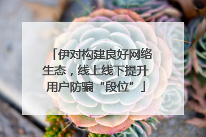 伊对构建良好网络生态，线上线下提升用户防骗“段位”
