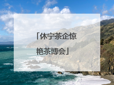 休宁茶企惊艳茶博会