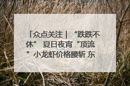 众点关注｜“跌跌不休” 夏日夜宵“顶流”小龙虾价格腰斩 东营人的快乐来了