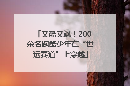 又酷又飒！200余名跑酷少年在“世运赛道”上穿越