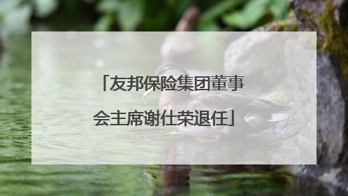 友邦保险集团董事会主席谢仕荣退任