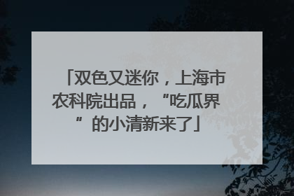 双色又迷你，上海市农科院出品，“吃瓜界”的小清新来了