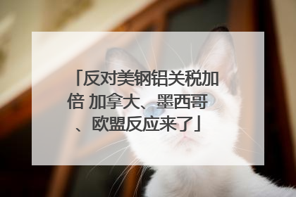 反对美钢铝关税加倍 加拿大、墨西哥、欧盟反应来了