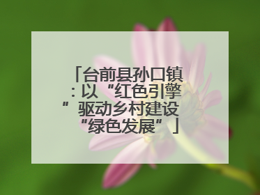 台前县孙口镇：以“红色引擎”驱动乡村建设“绿色发展”