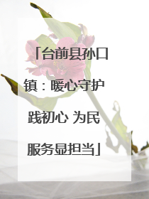 台前县孙口镇：暖心守护践初心 为民服务显担当