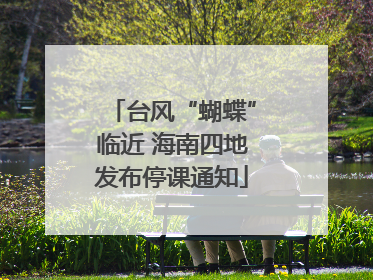 台风“蝴蝶”临近 海南四地发布停课通知
