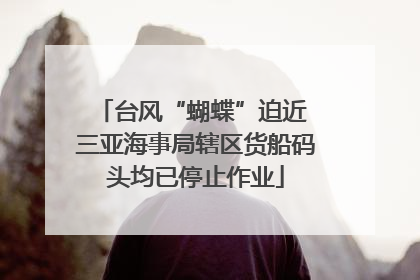 台风“蝴蝶”迫近 三亚海事局辖区货船码头均已停止作业
