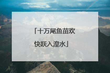 十万尾鱼苗欢快跃入湟水