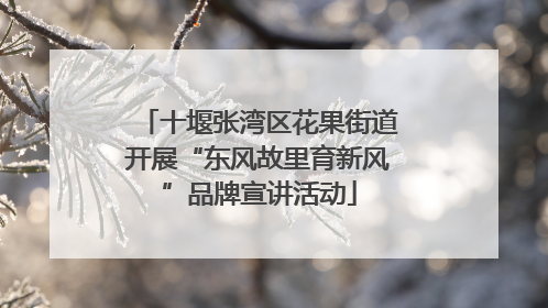 十堰张湾区花果街道开展“东风故里育新风”品牌宣讲活动