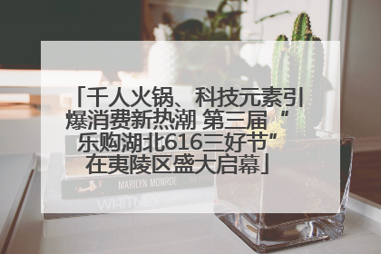 千人火锅、科技元素引爆消费新热潮 第三届“乐购湖北616三好节”在夷陵区盛大启幕