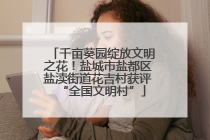 千亩葵园绽放文明之花！盐城市盐都区盐渎街道花吉村获评“全国文明村”