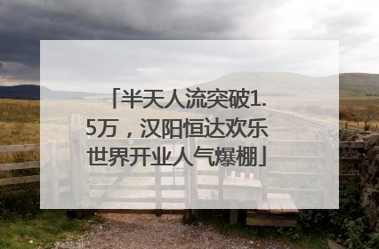 半天人流突破1.5万，汉阳恒达欢乐世界开业人气爆棚