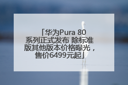 华为Pura 80系列正式发布 除标准版其他版本价格曝光，售价6499元起