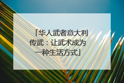 华人武者意大利传武：让武术成为一种生活方式