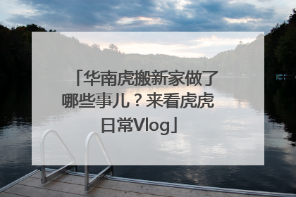 华南虎搬新家做了哪些事儿？来看虎虎日常Vlog
