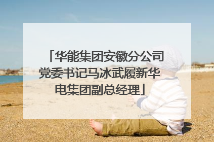 华能集团安徽分公司党委书记马冰武履新华电集团副总经理